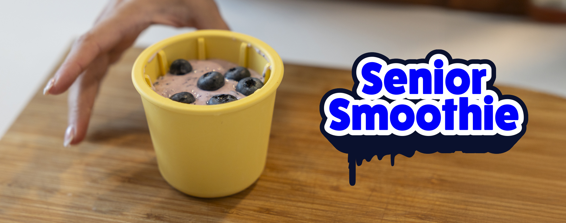 DIY hundegodis Senior Smoothie med hyaluron og blåbær
