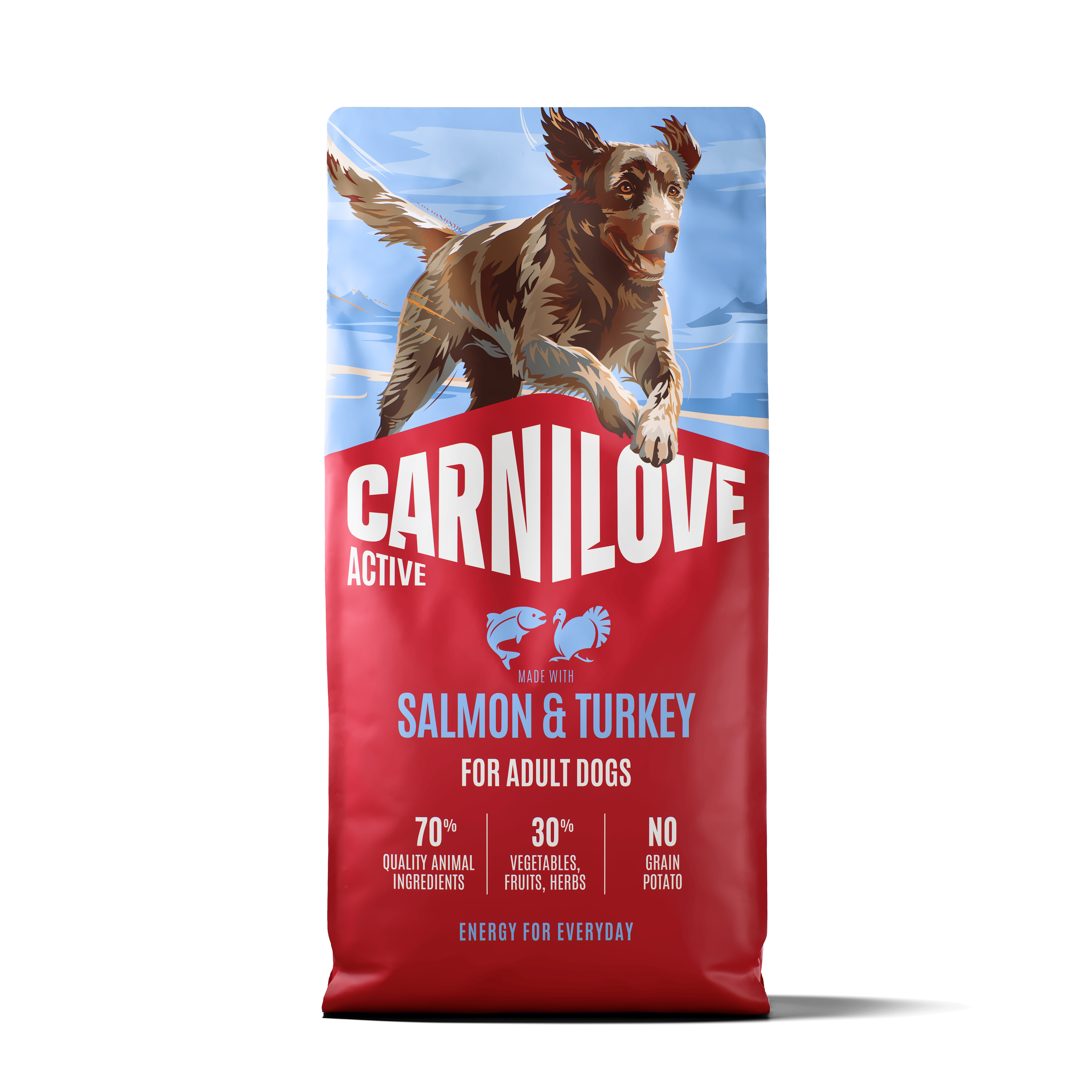 Active Dog Salmon & Turkey Adult 12kg