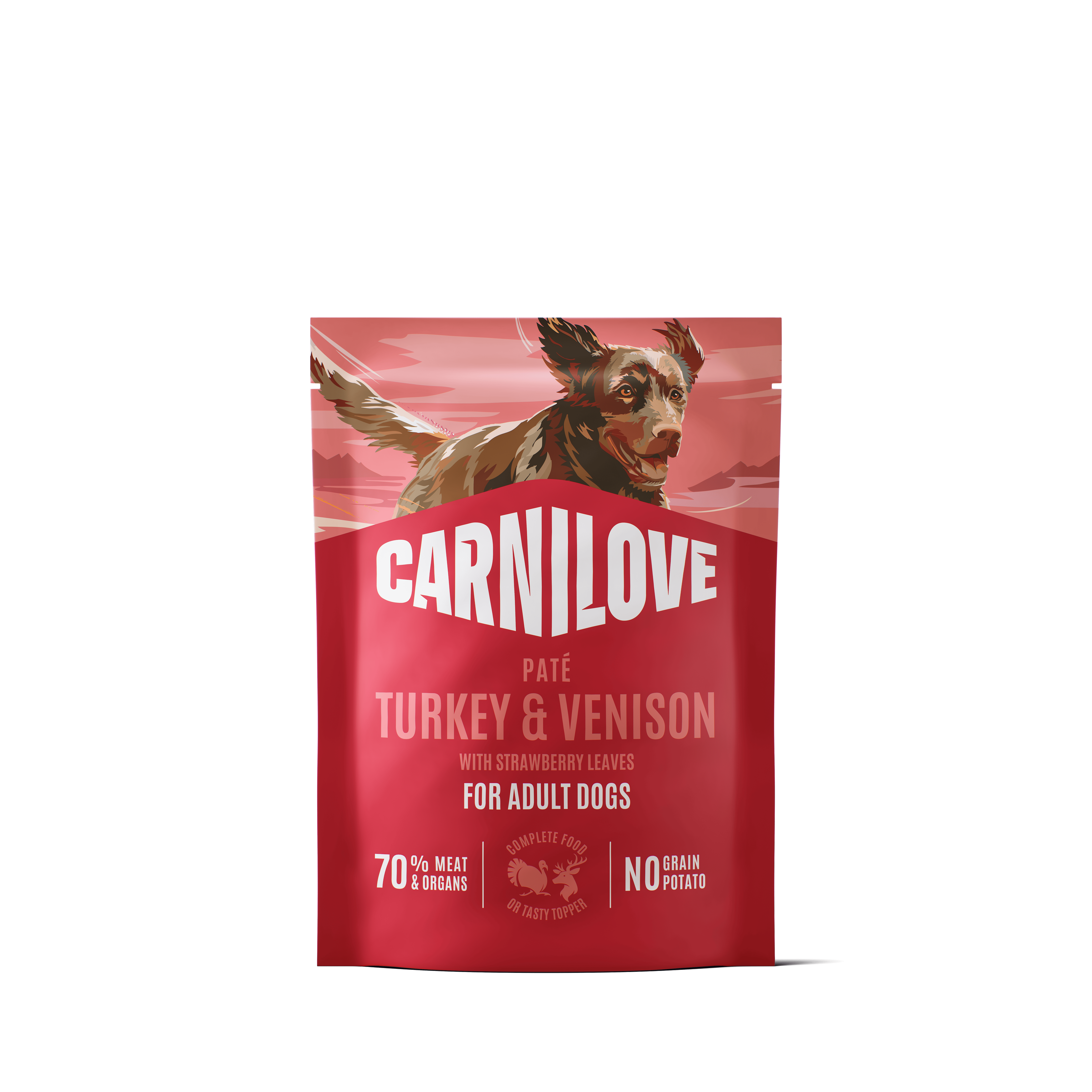 Dog Pouch Paté Turkey & Venison 300g