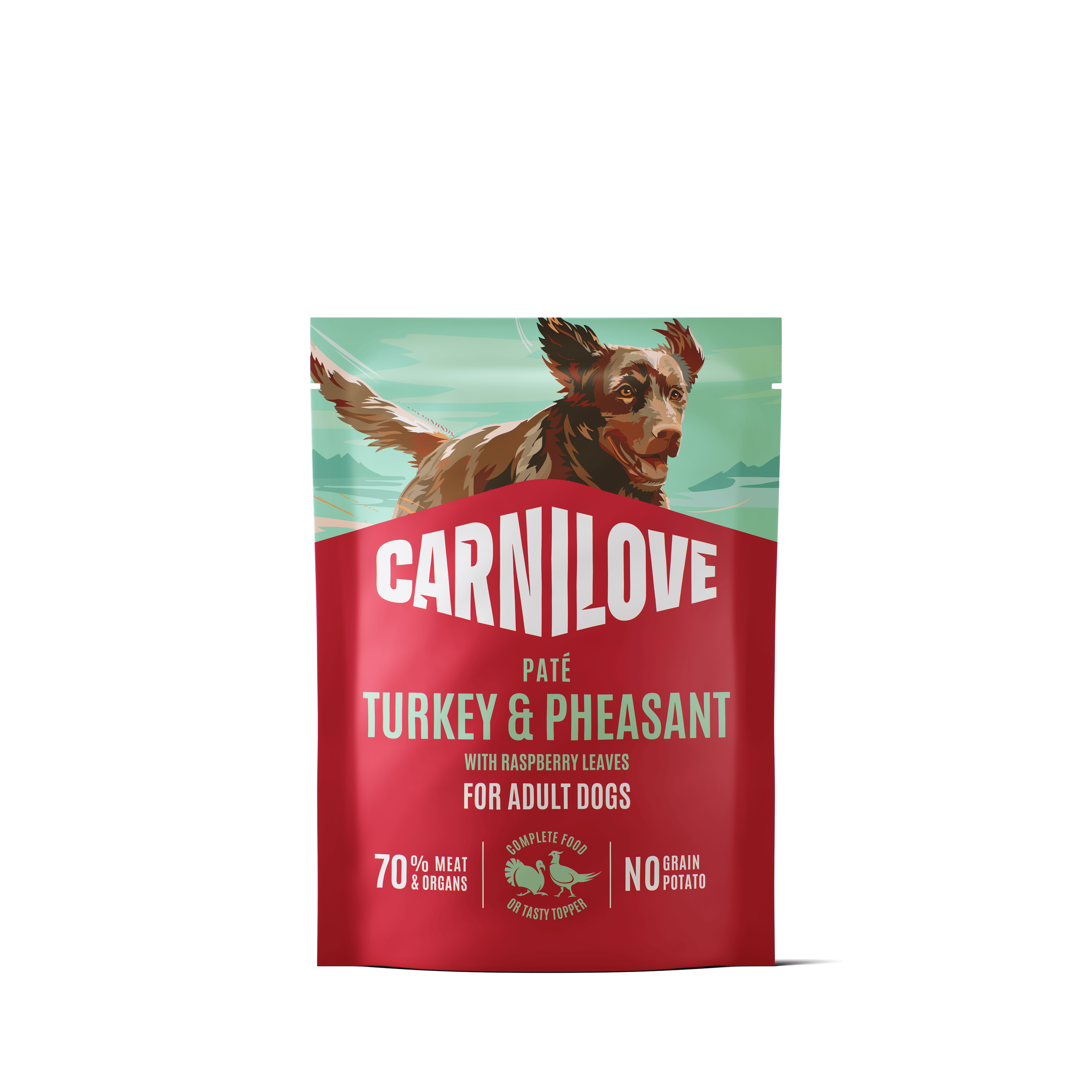 Dog Pouch Pat&eacute; Turkey &amp; Pheasant 300g