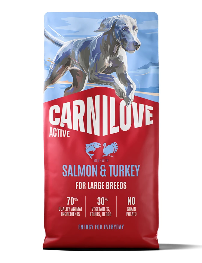 Active Dog Salmon&Turkey Adult Large Breeds 1,5kg