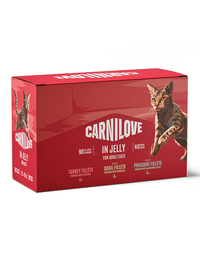 Cat Pouch Jelly Multipack 12x85g