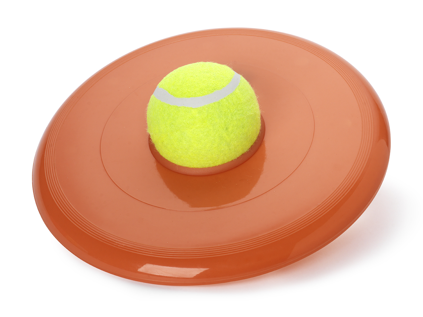 Leksak Frisbee med Boll Mix