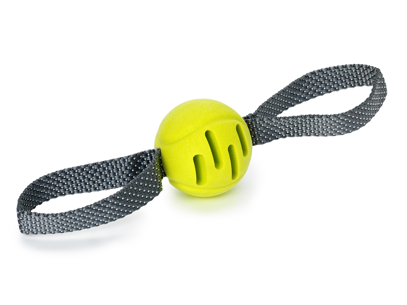 Leksak Fetchball Grön