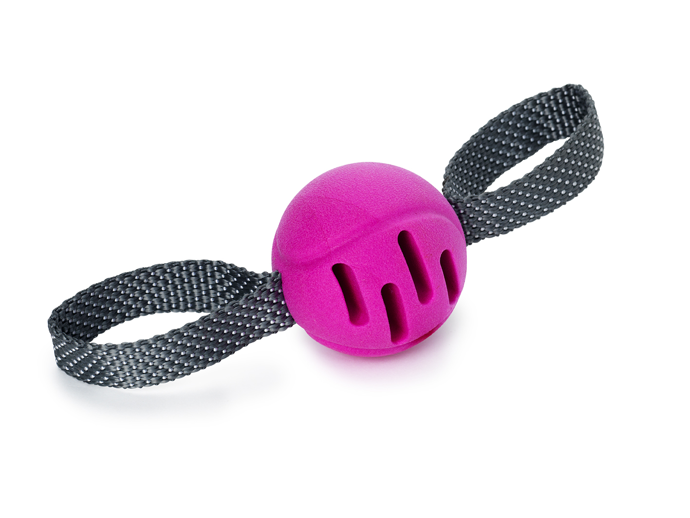 Leksak Fetchball Rosa