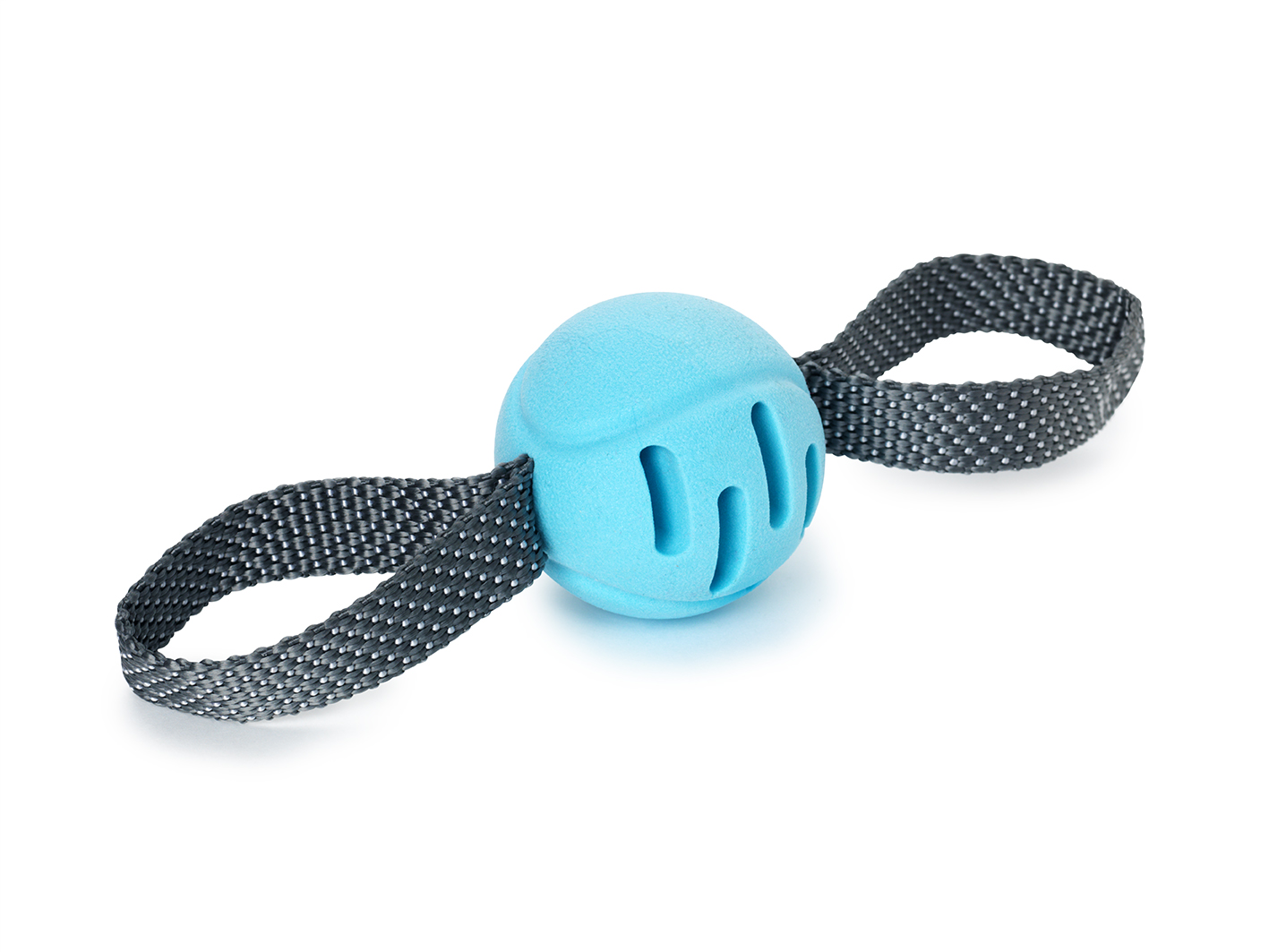 Leksak Fetchball Blå