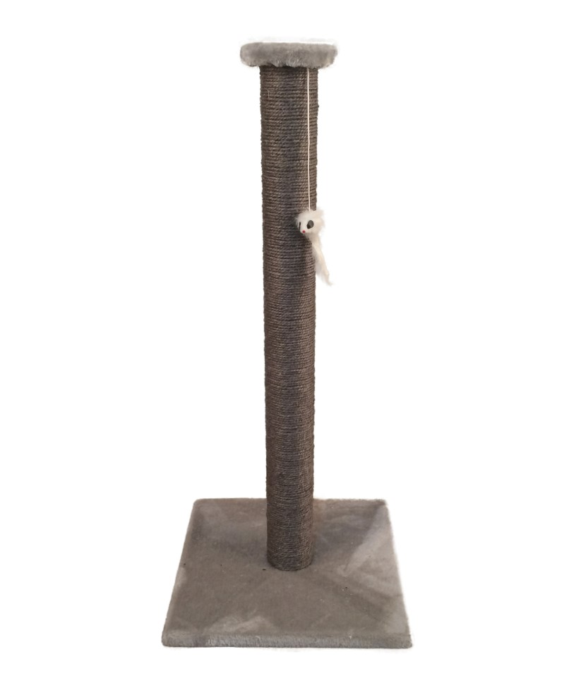 Kl&ouml;spelare Sally Gr&aring;