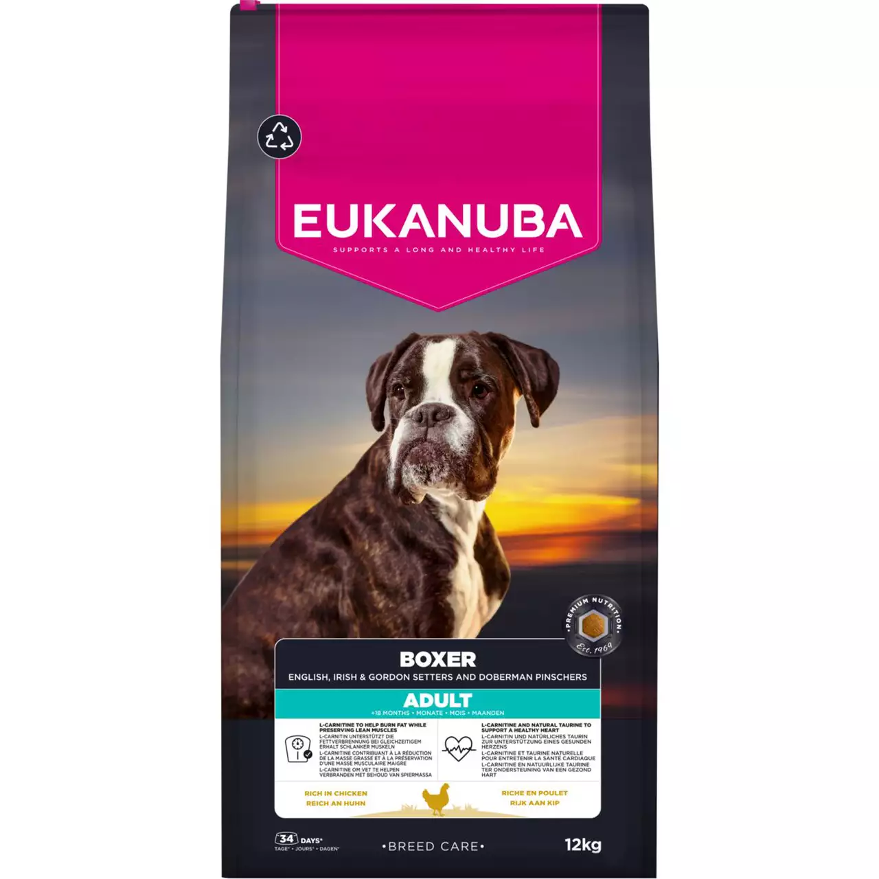 Dog Boxer 12kg