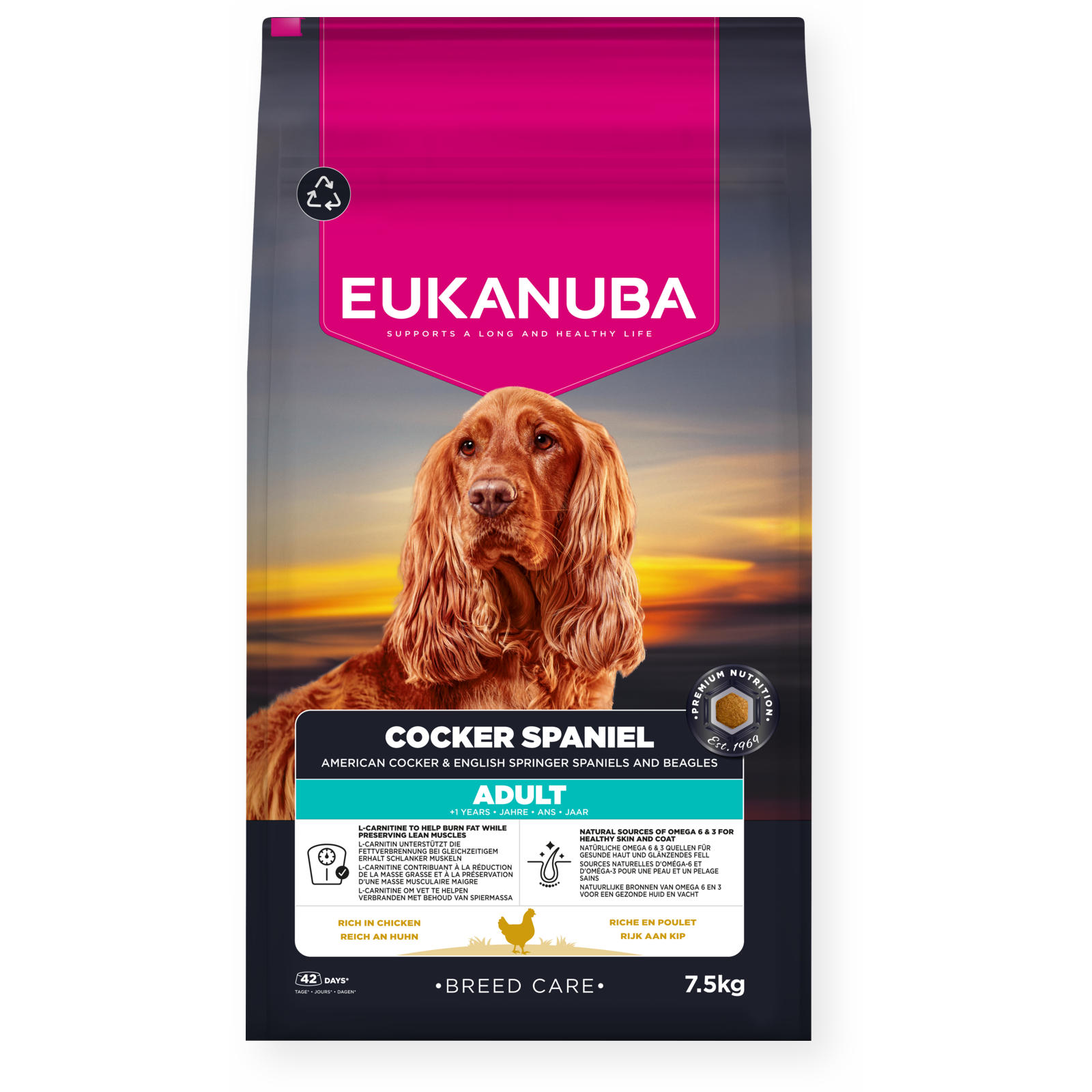 Dog Cocker Spaniel 7,5kg