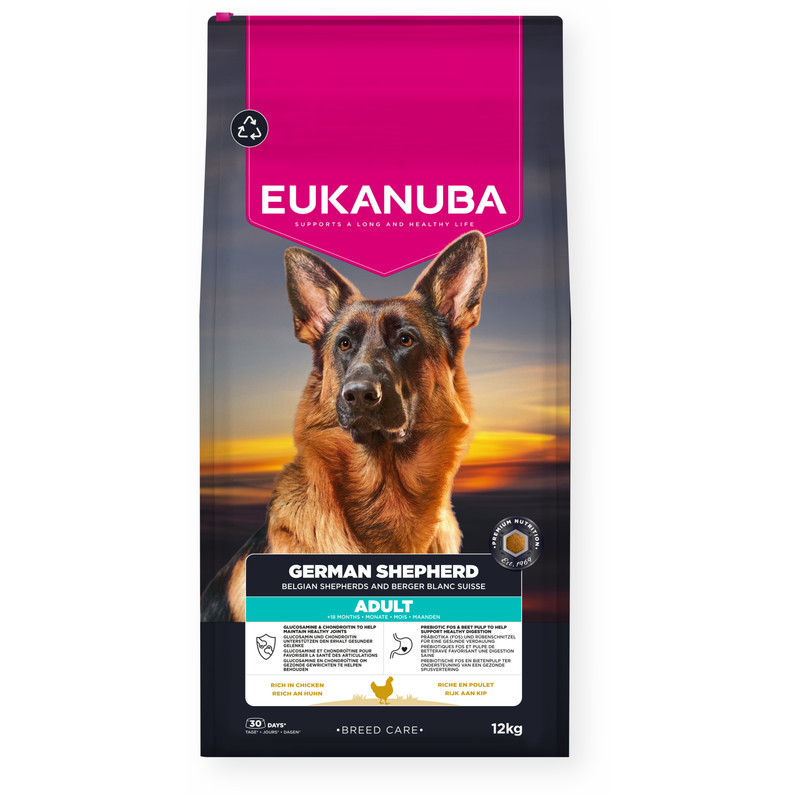 Dog German Shepherd 12kg