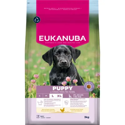 Dog Puppy Large Torrfoder för hund 3kg