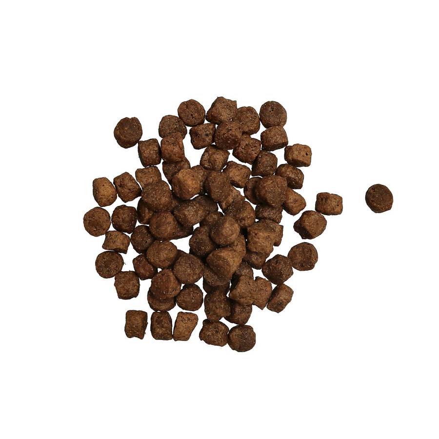 Puppy Sensitive Grain-Free Puppy Food