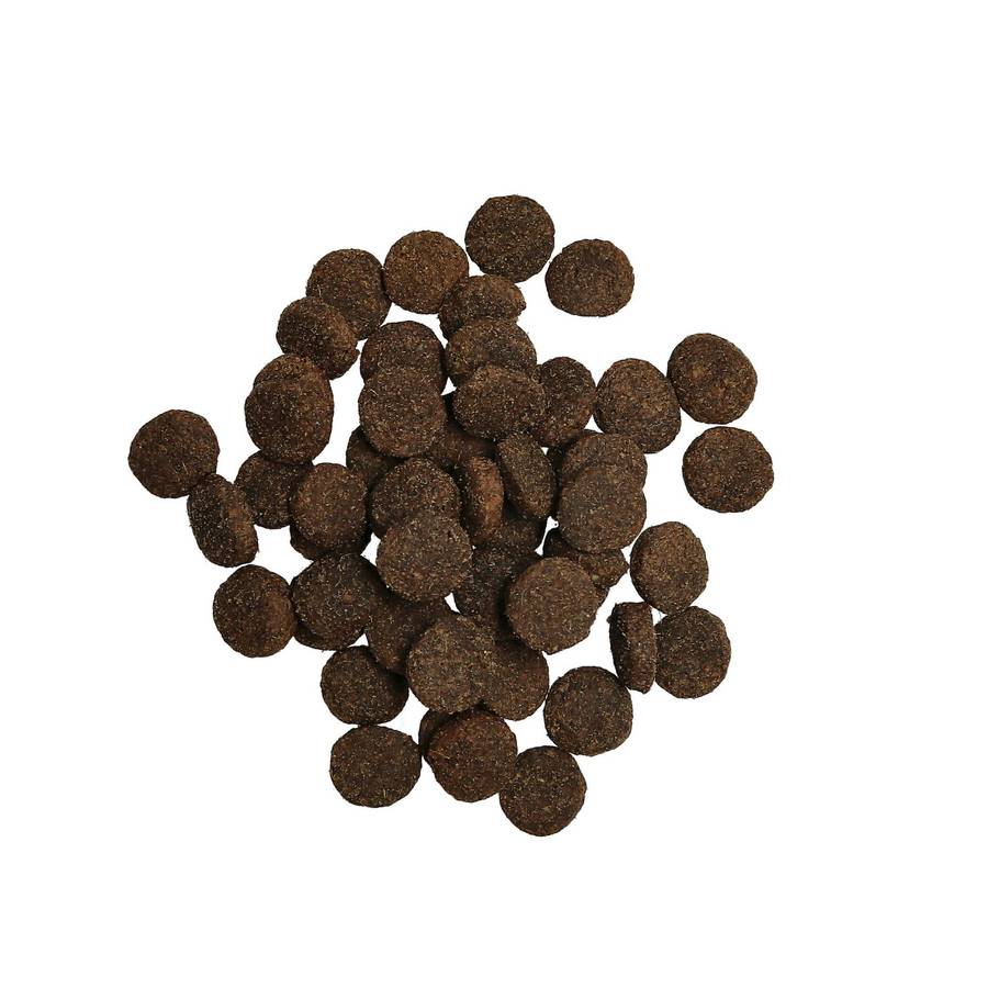 Adult Lamb Grain-Free Dog Food