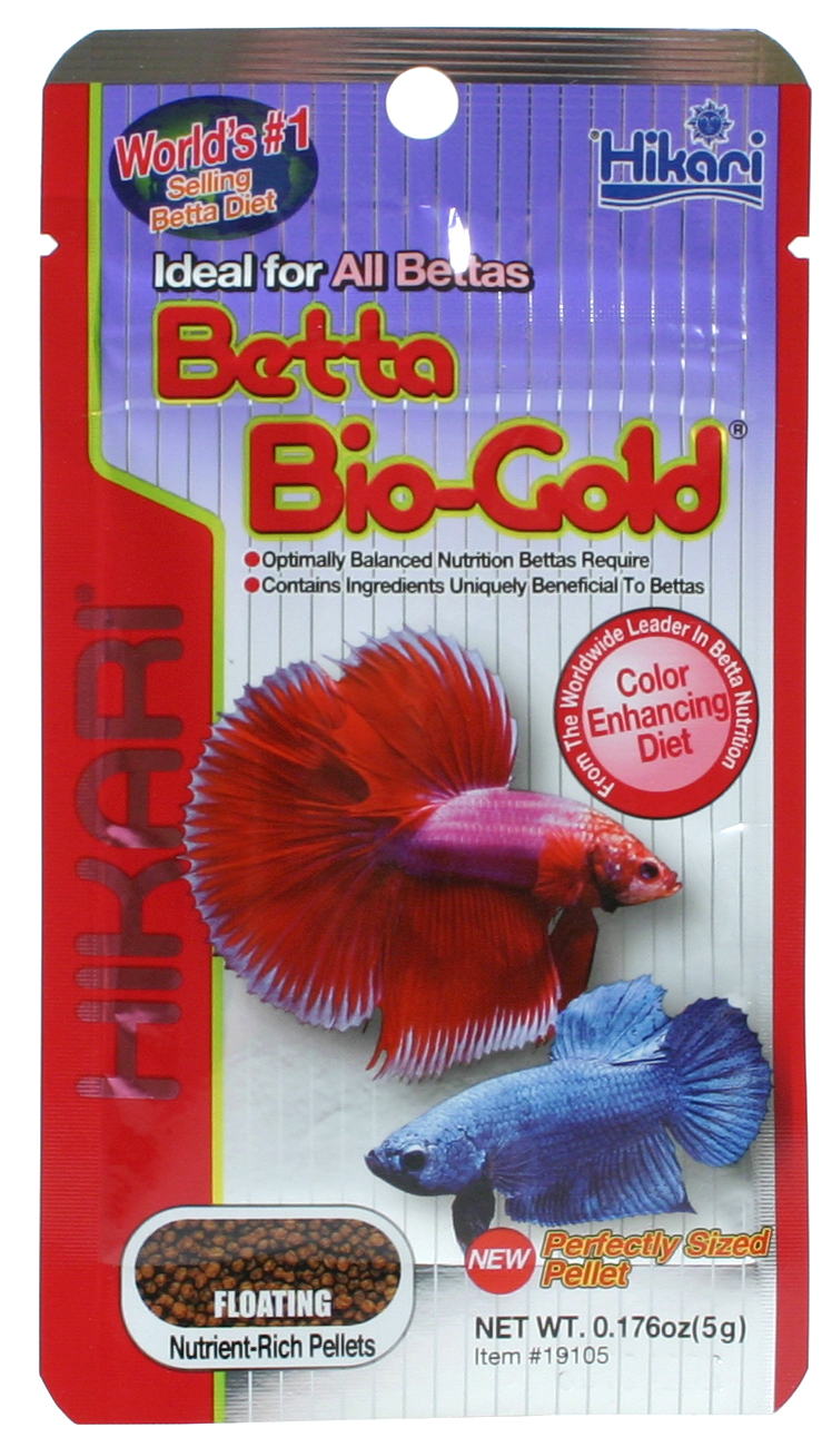 Betta Gold Kampfisk 20g