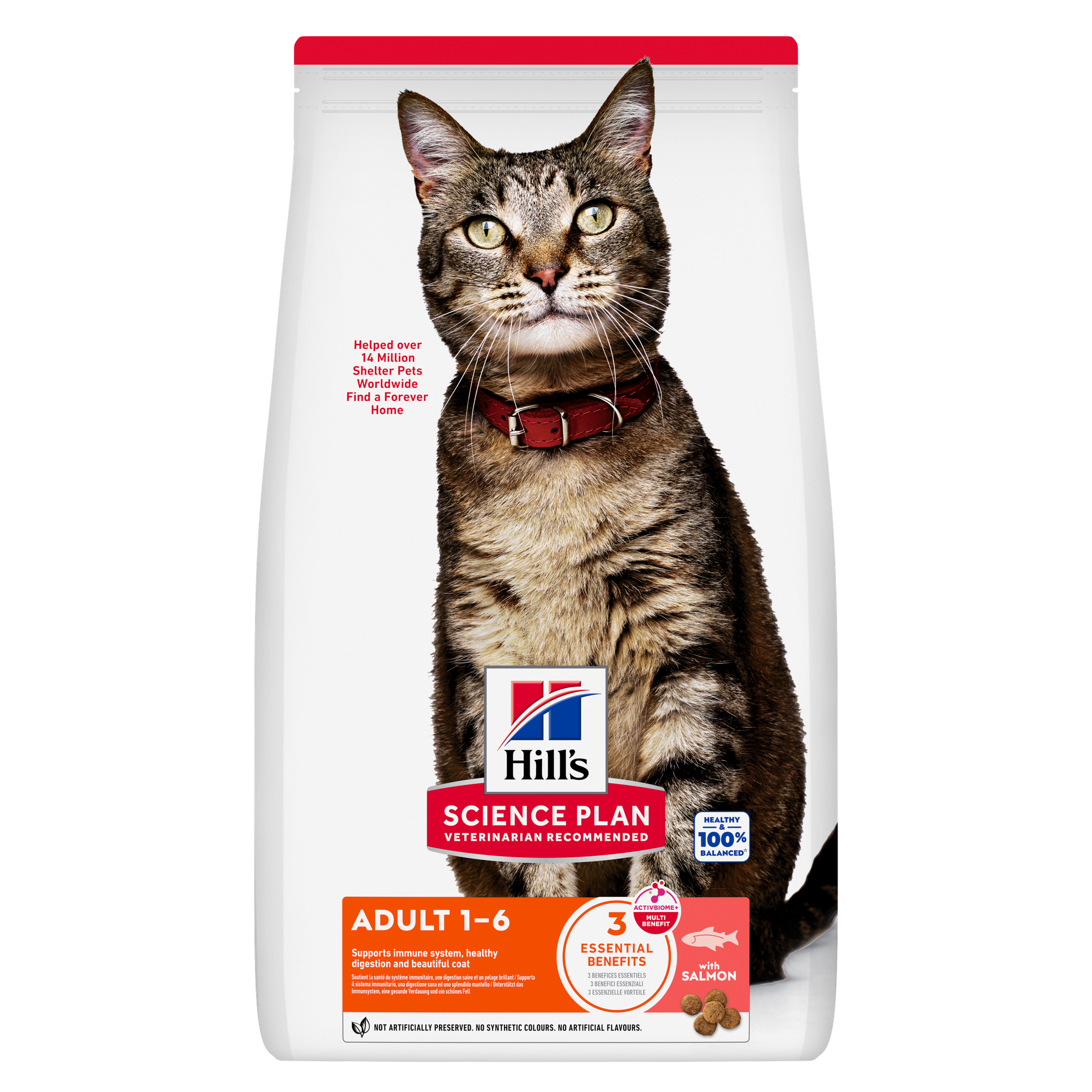 Feline Adult Salmon 7kg