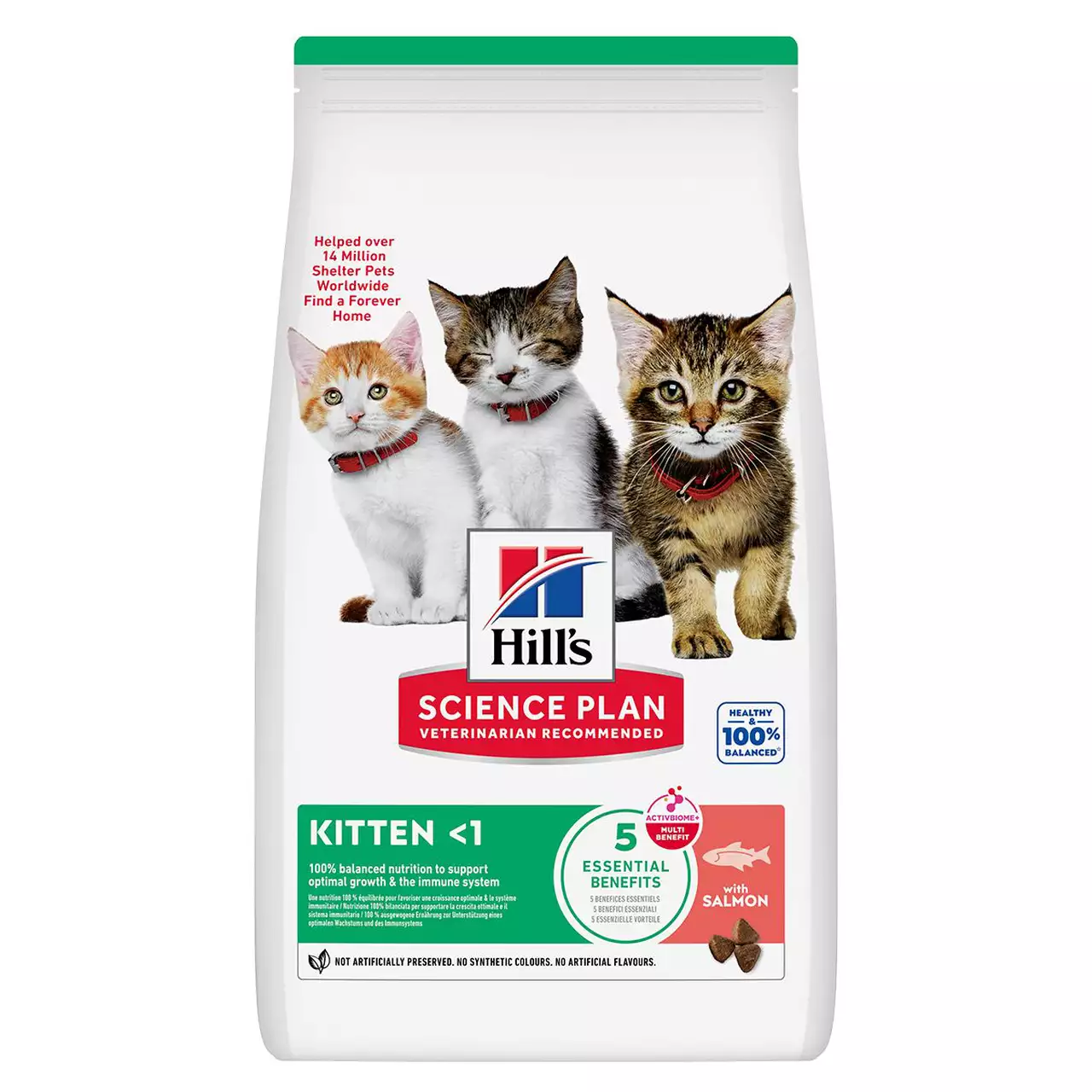 Kitten Salmon 7kg