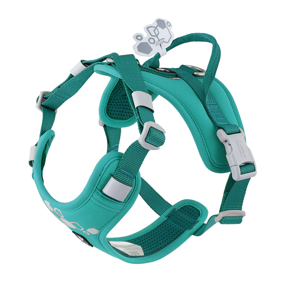 Weekend Warrior hundsele Turkos 80-100cm