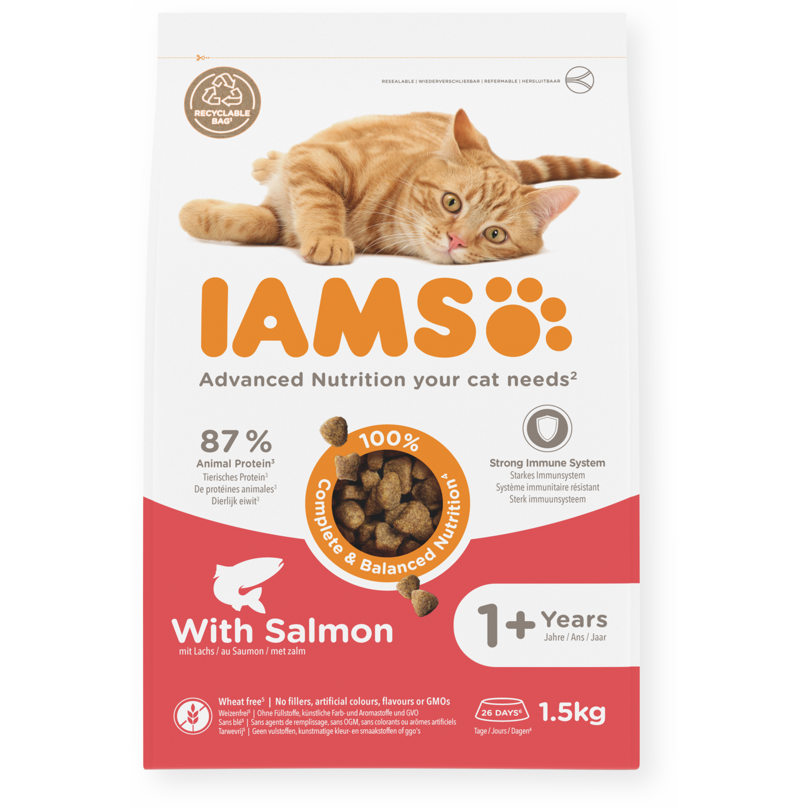Cat Adult Salmon 3kg