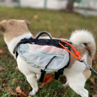 Trail Light Dog Backpack Hundryggs&auml;ck Gr&aring;