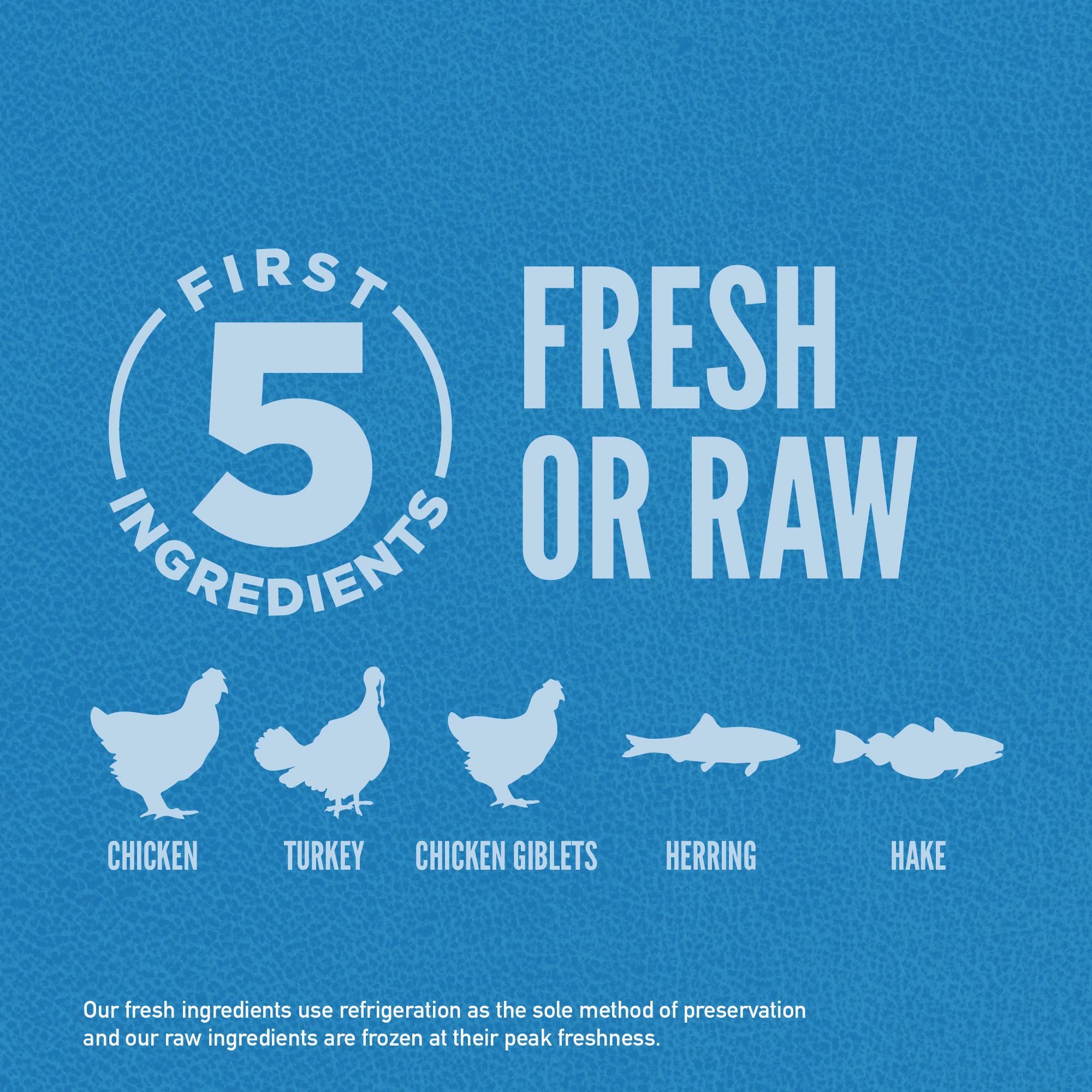 Original Dry Dog Food