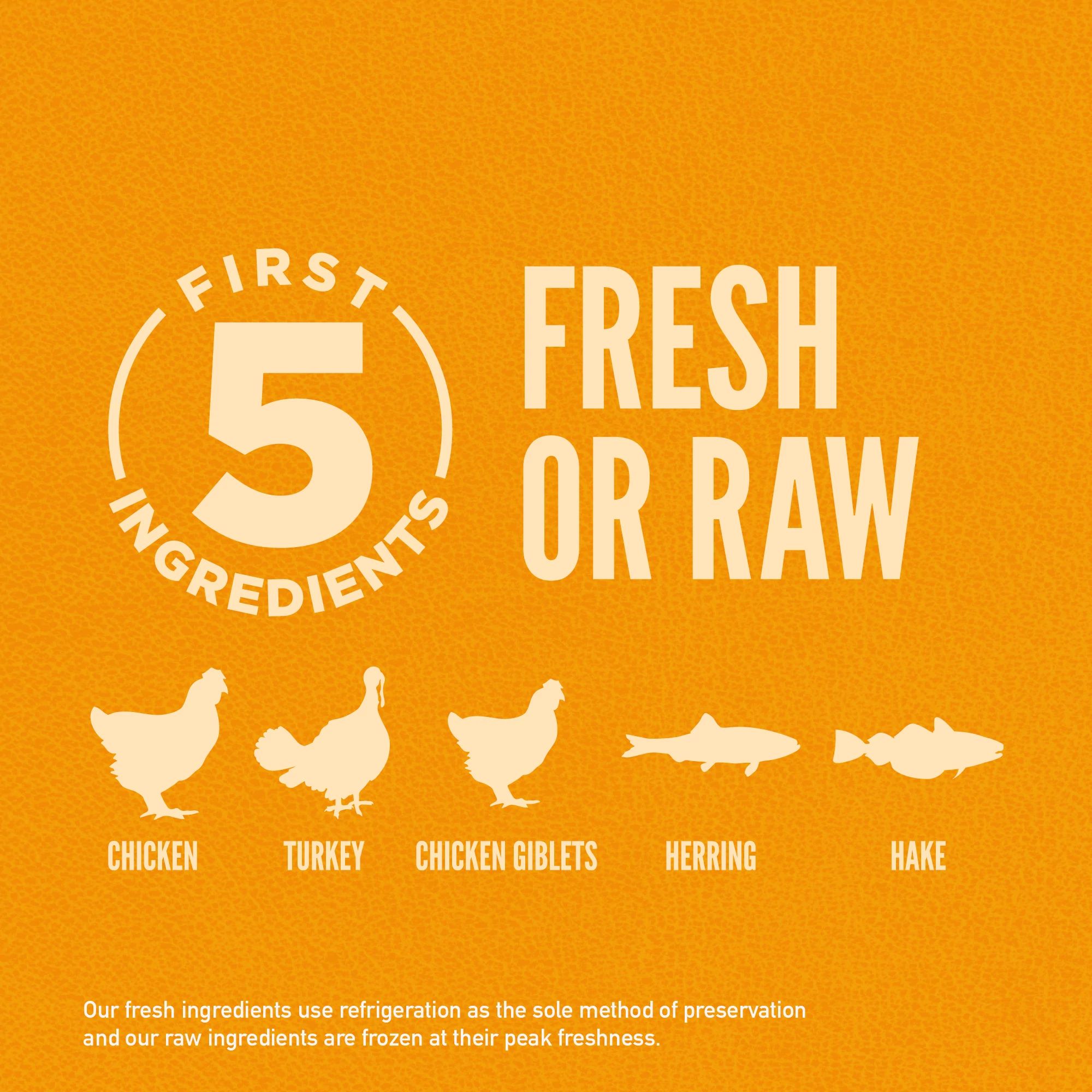 Puppy Dry Food for Dogs