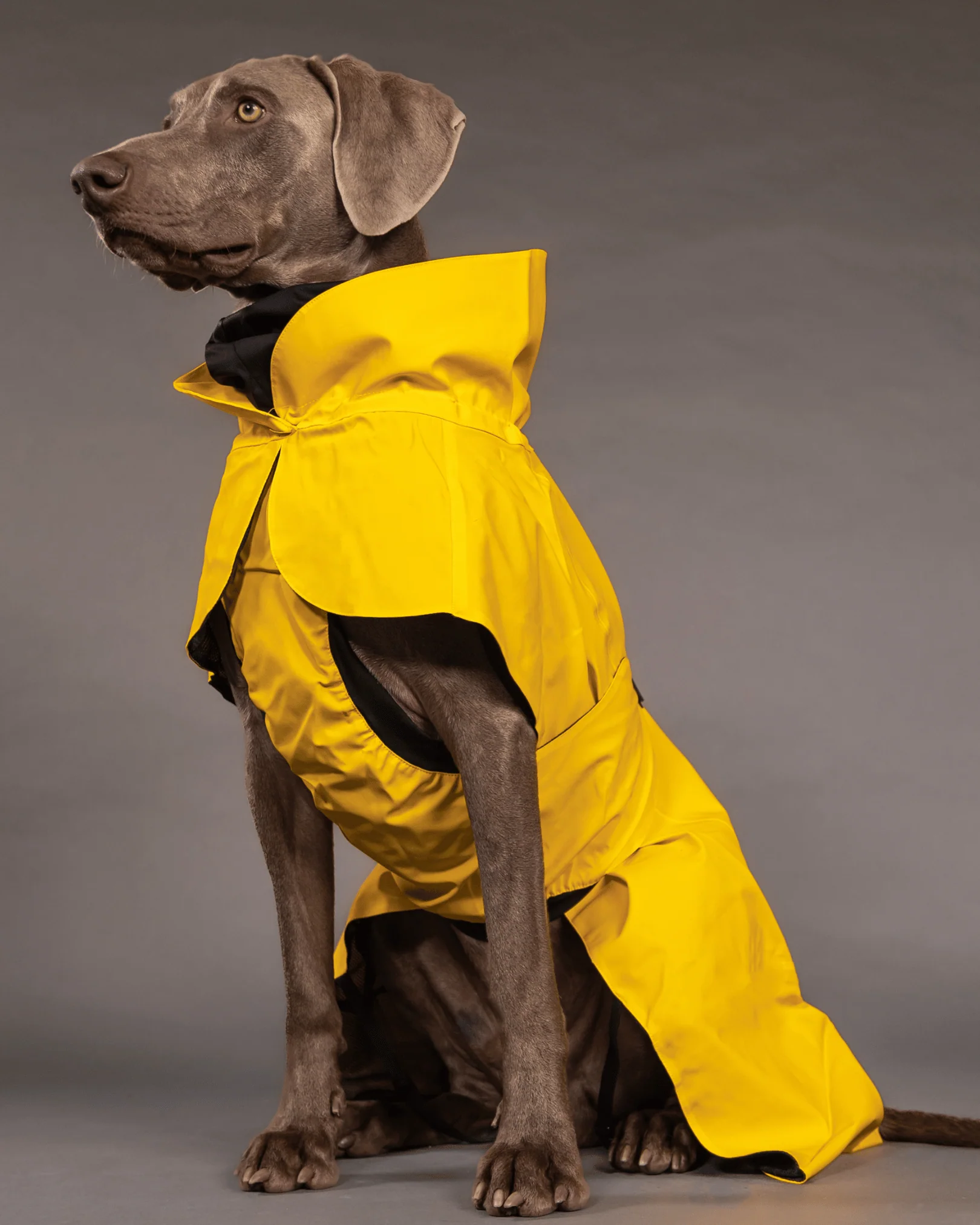 Visibility Raincoat Regntäcke Gul 20cm