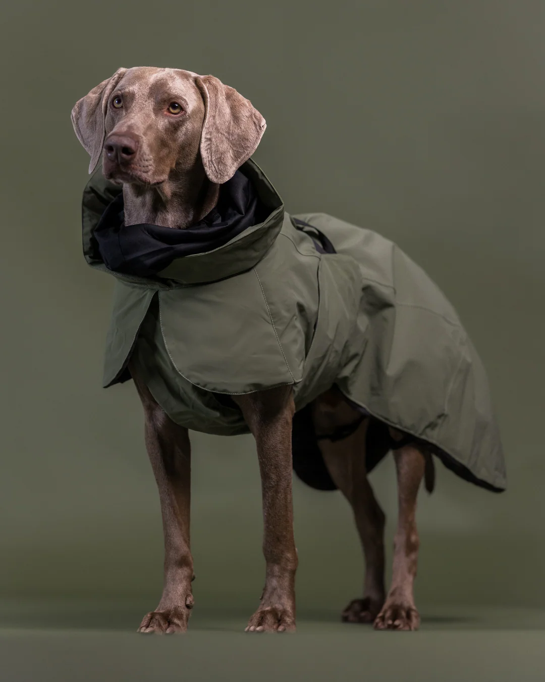 Visibility Winter Jacket Wool T&auml;cke Gr&ouml;n