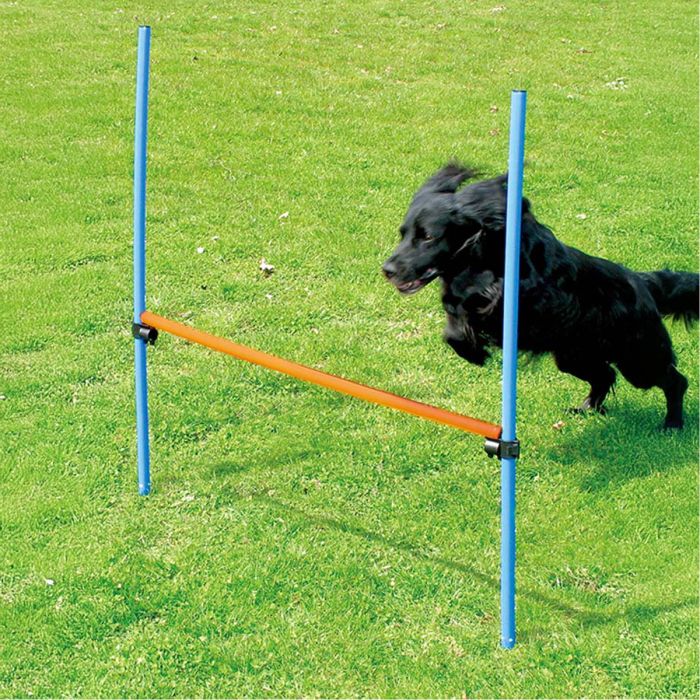 Agility Hinder