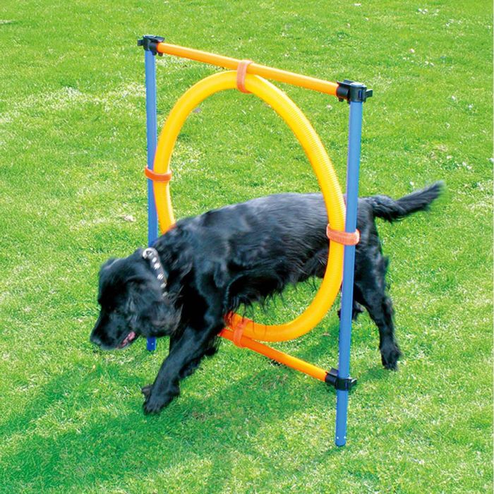 Agility Hinder med Ring