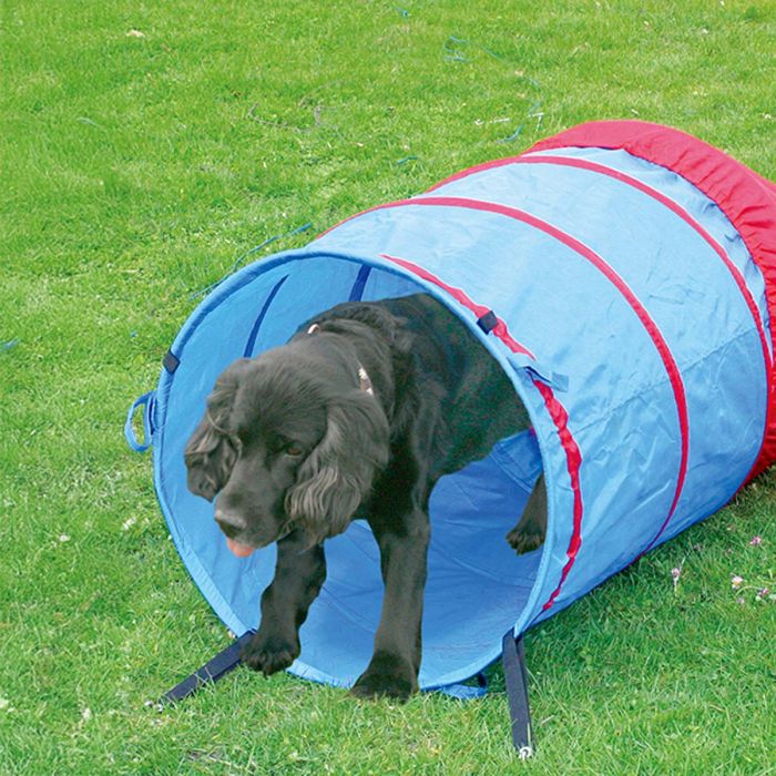 Agility Tunnel