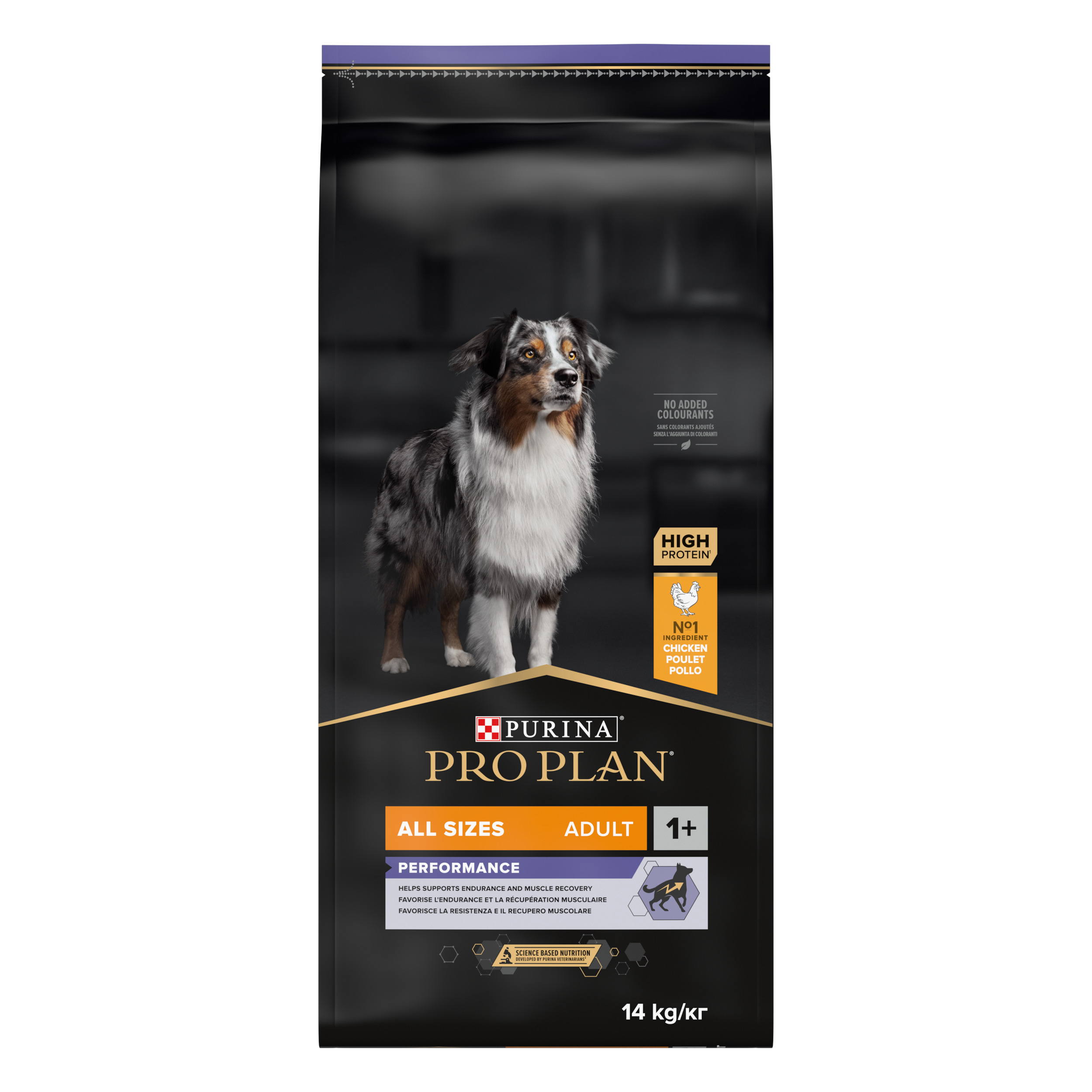 All Sizes Adult Performance Hundfoder 14kg