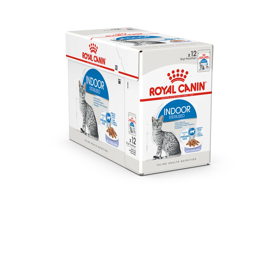 Indoor Sterilised Jelly V&aring;tfoder f&ouml;r katt 12x85g