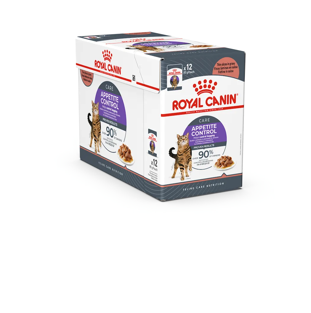 Appetite Control Care Gravy 12x85g