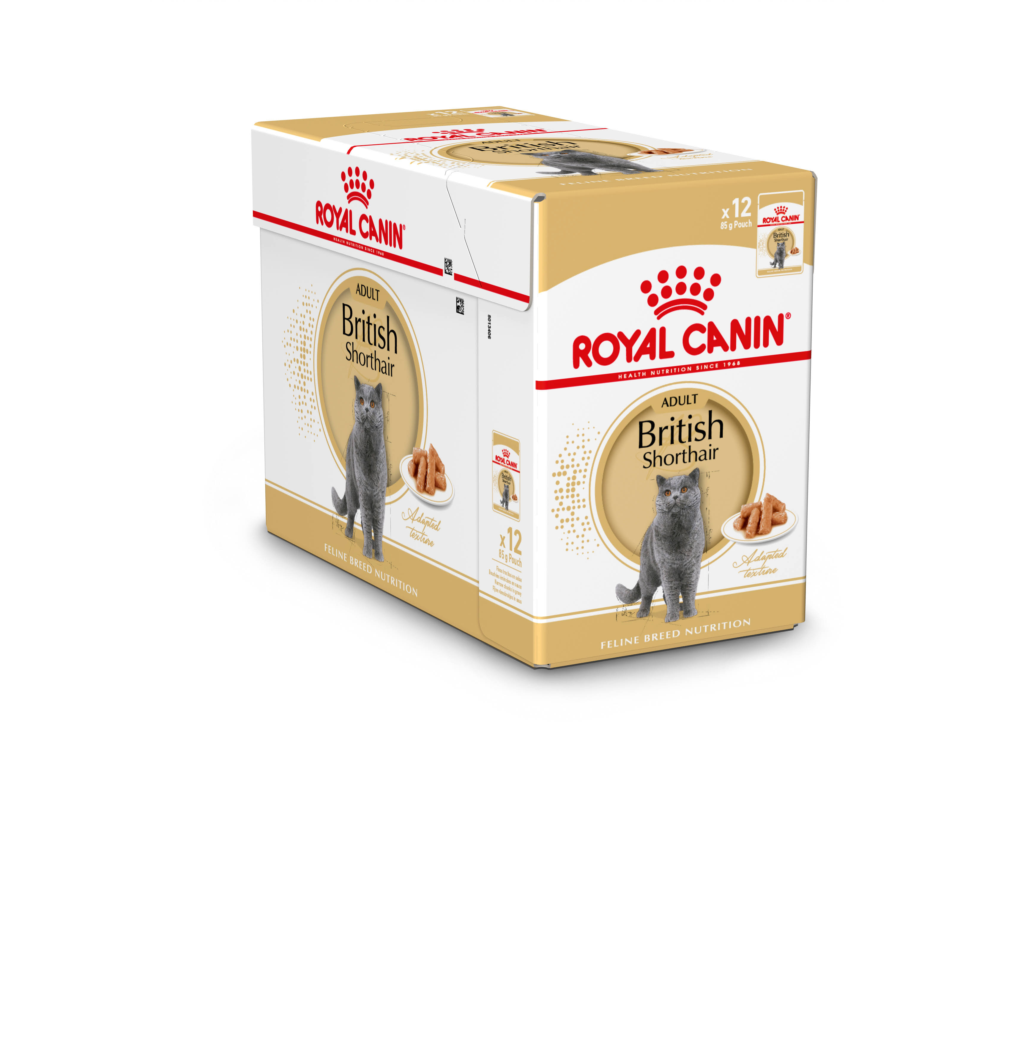 Royal Canin British Shorthair Adult i sås - 12 x 85 g