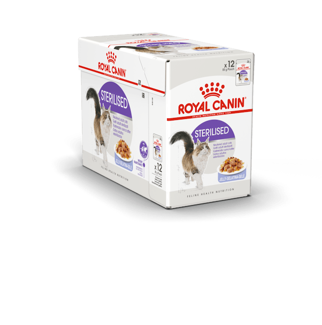 Sterilised Jelly V&aring;tfoder f&ouml;r katt 12x85g