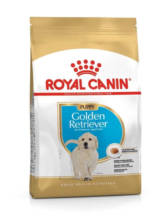 Golden Retriever Puppy Torrfoder f&ouml;r hund 12kg