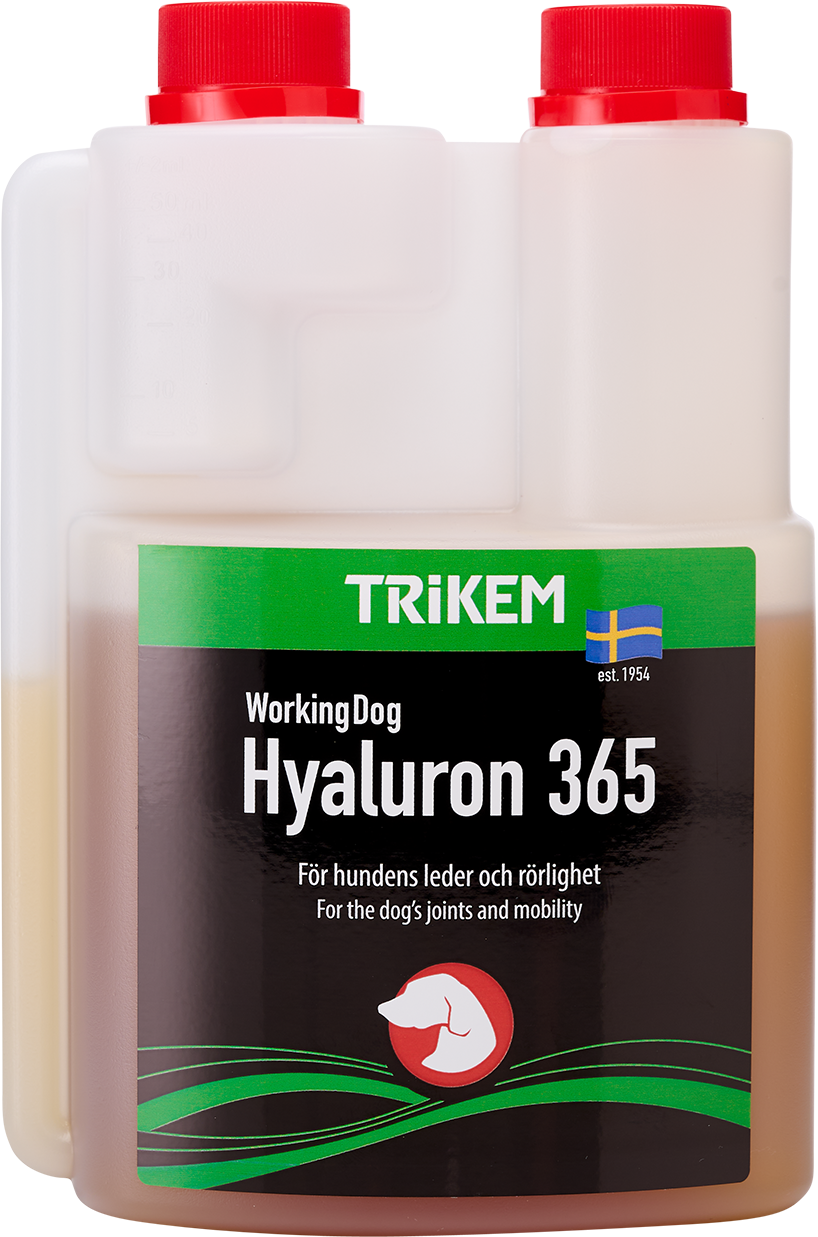 Workingdog Hyaluron 365 Ledtillskott 500ml