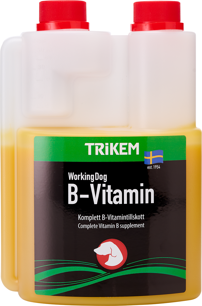 Max B-vitamin Hund 500ml
