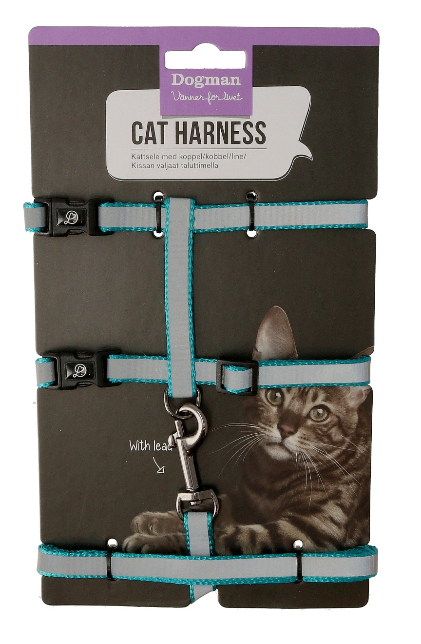 Kattsele-set Stina Turkos