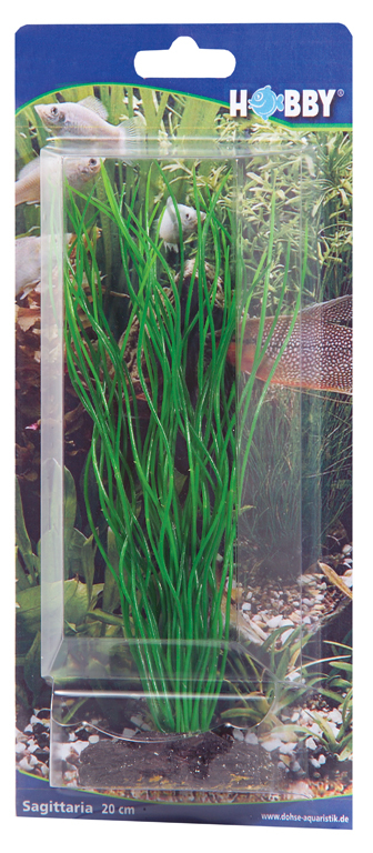 Dekorv&auml;xt Sagittaria 20cm