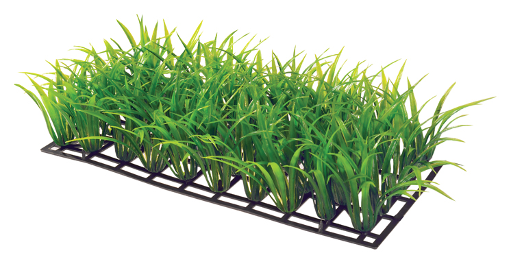Dekorv&auml;xt Plant Mat 3 25cm