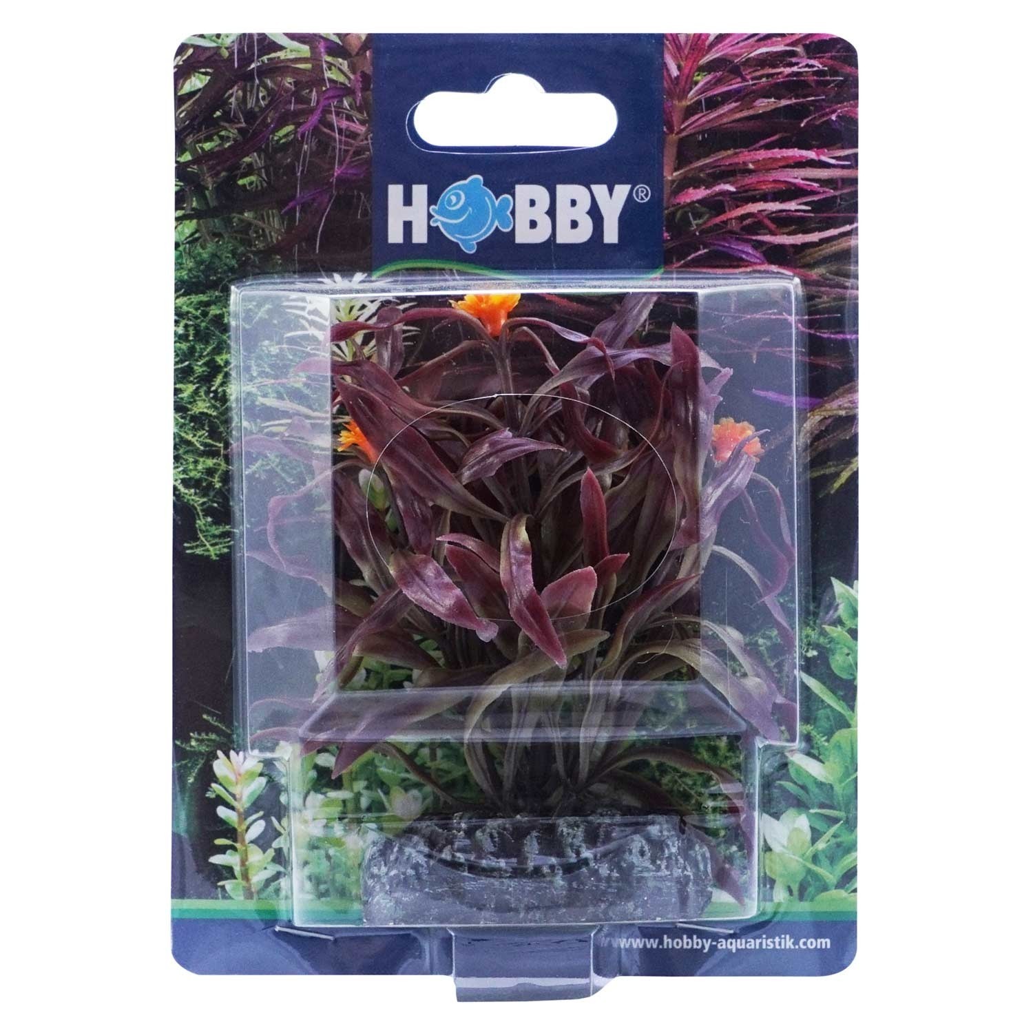 Dekorv&auml;xt Nesaea 7cm