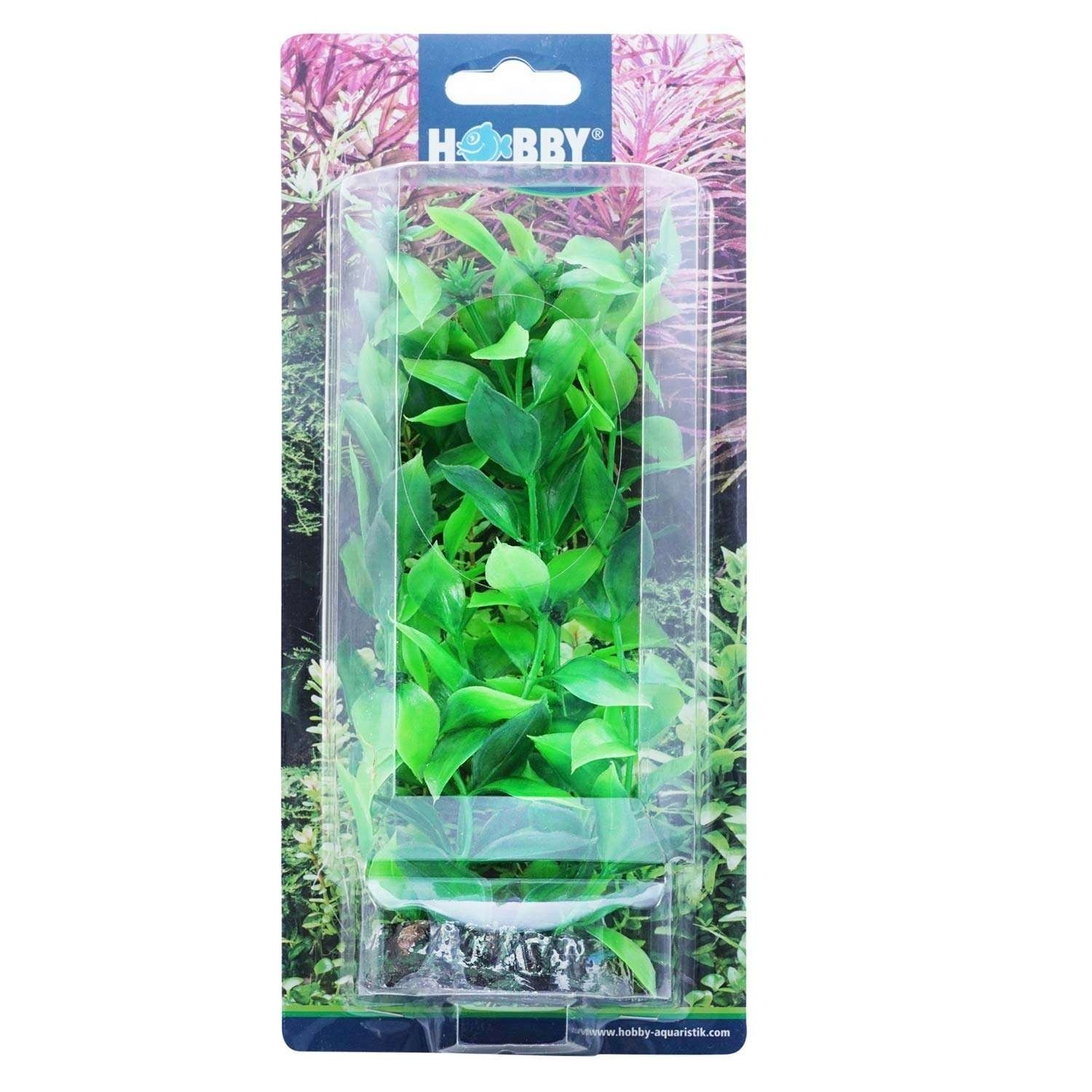 Dekorv&auml;xt Hygrophila 20cm