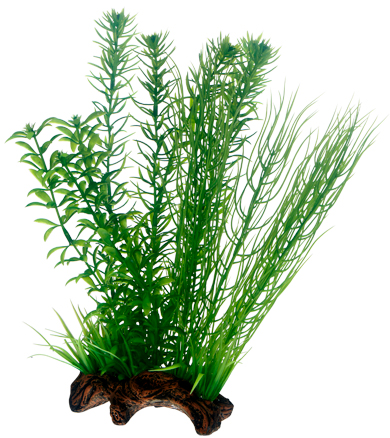 Dekor Flora Root 2 L 30cm