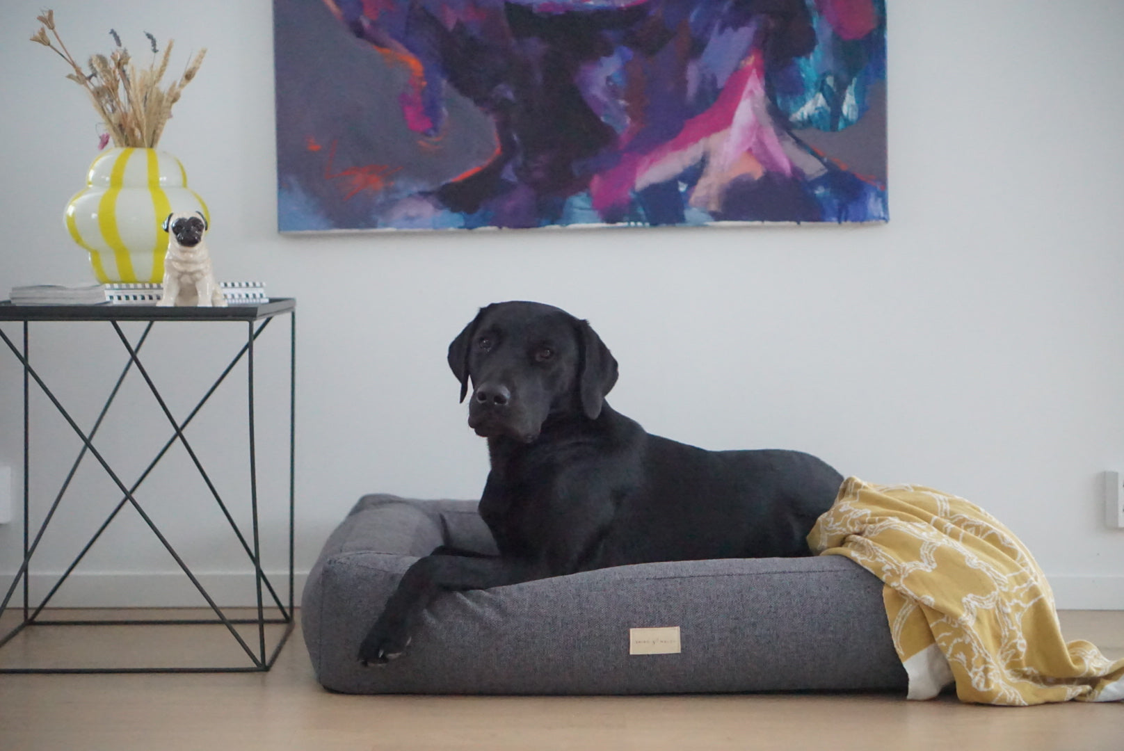 Box Bed Dog Bed Dark Gray