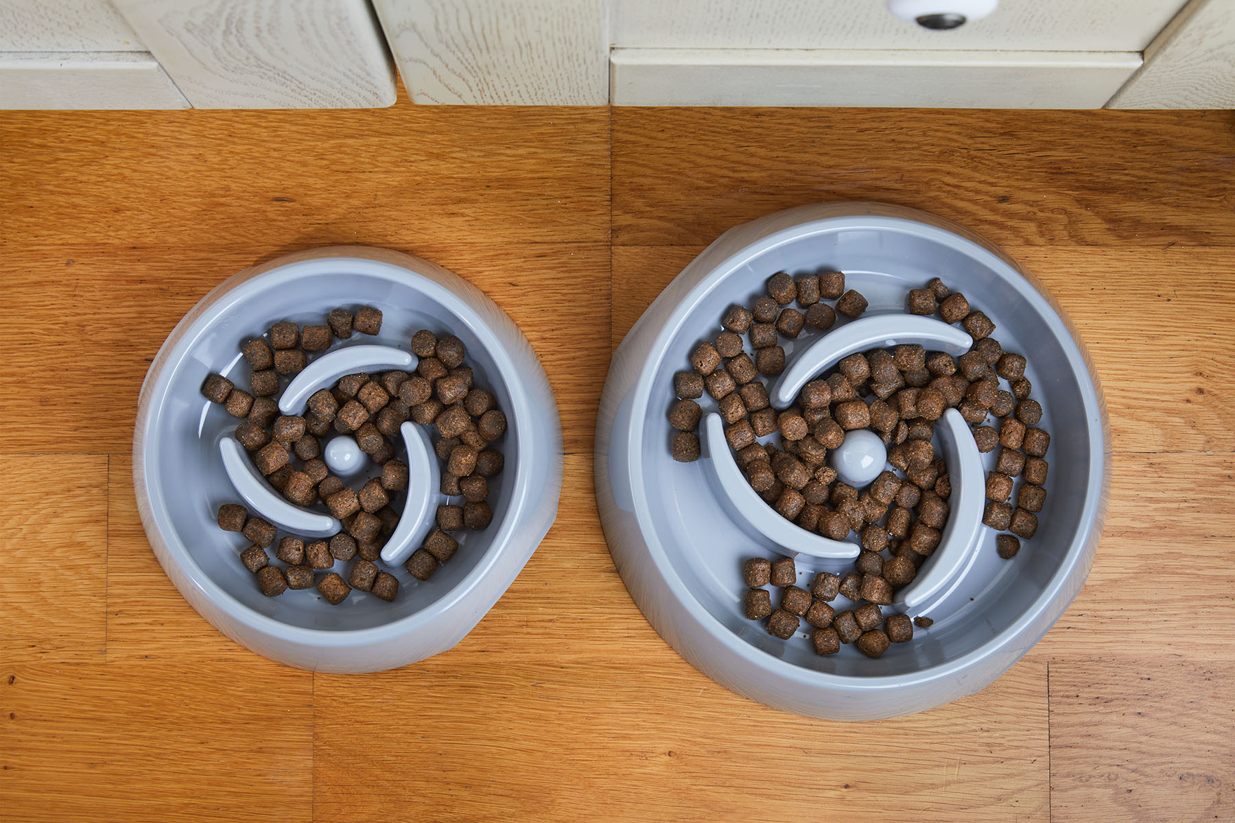 Alva Slow Feed Food Bowl