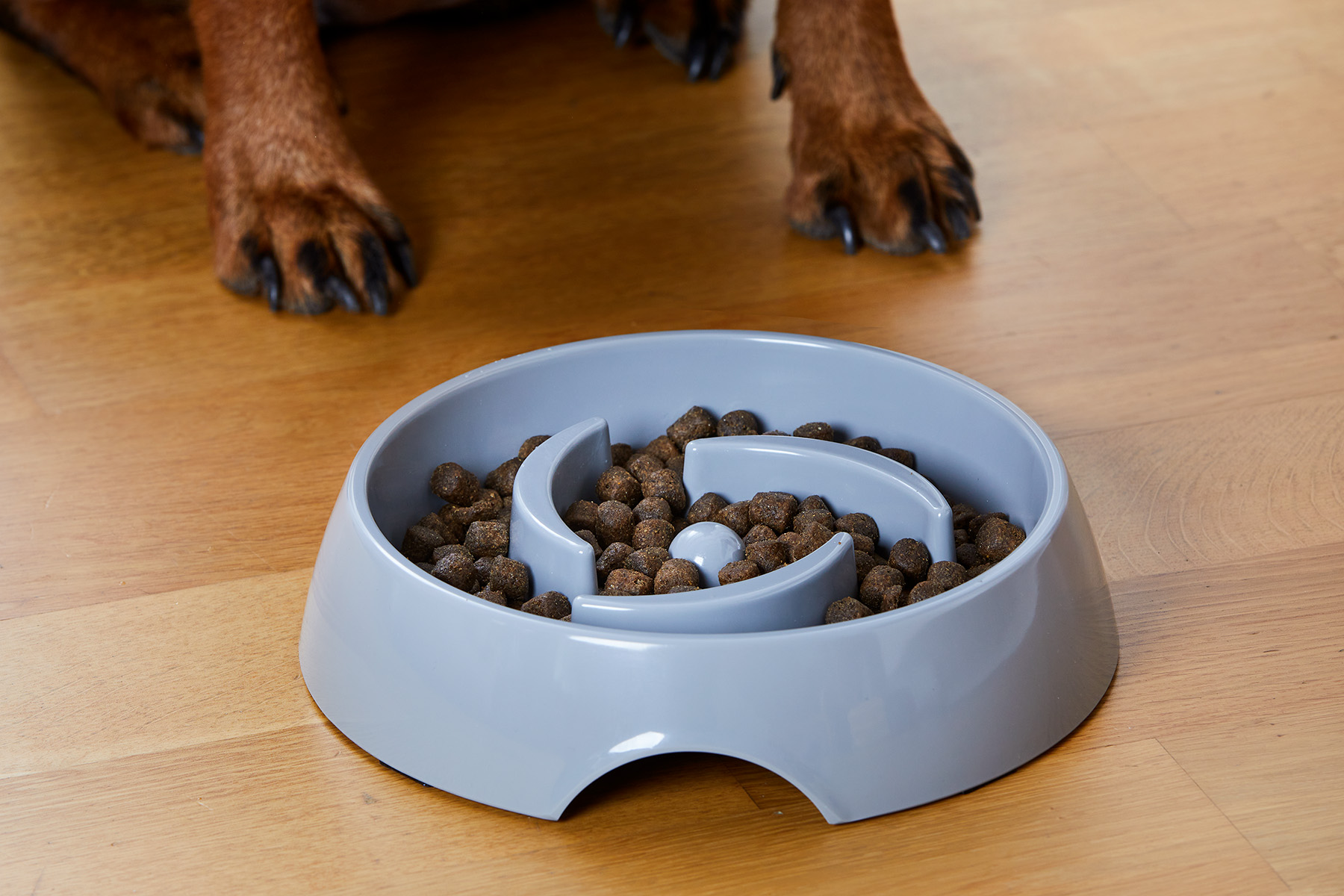 Alva Slow Feed Food Bowl