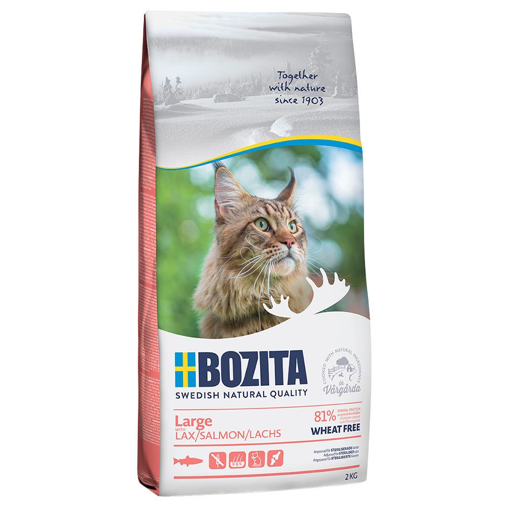 Large Wheat Free Salmon Kattmat 2kg