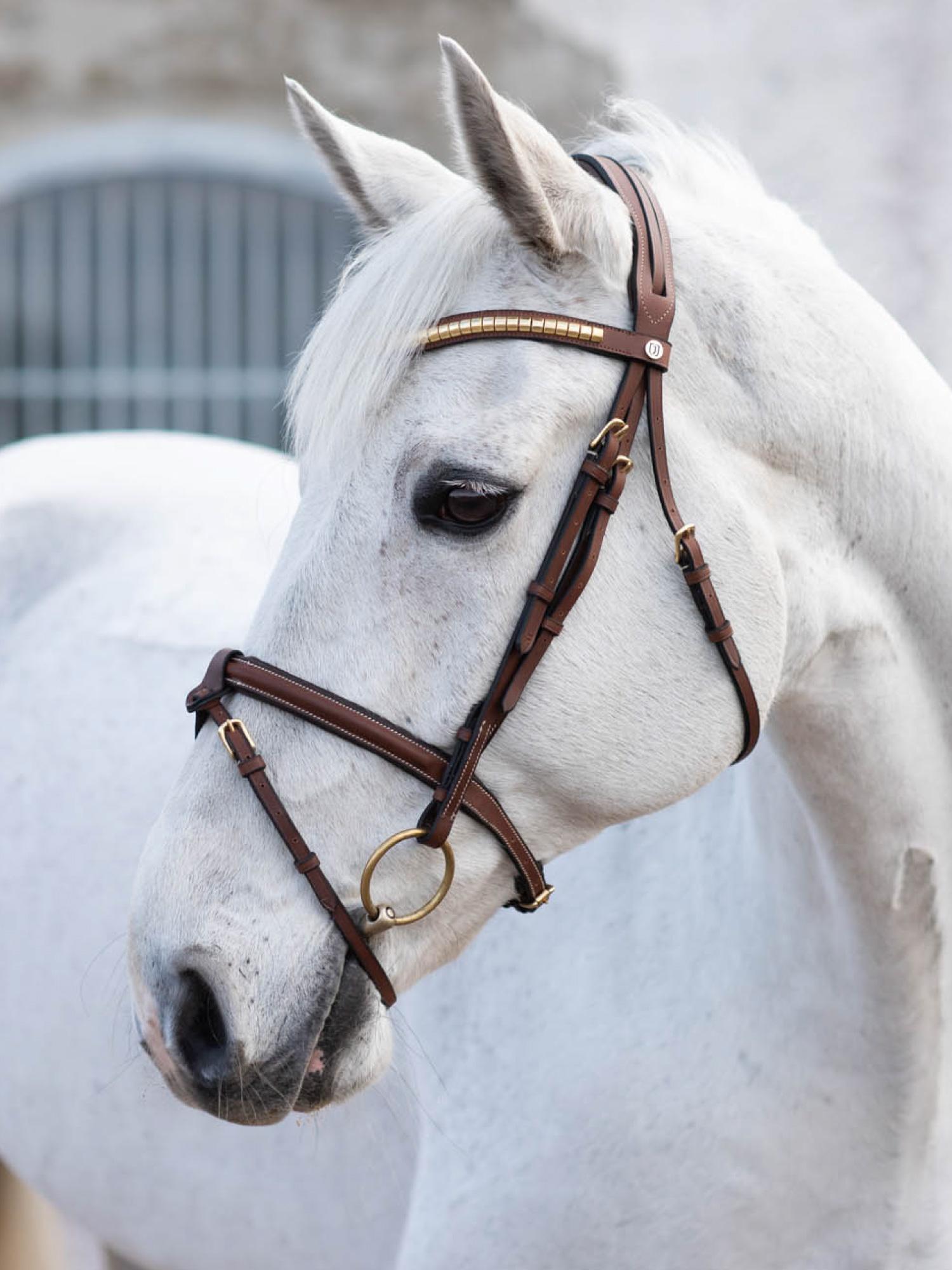 California Aachenträns Brun