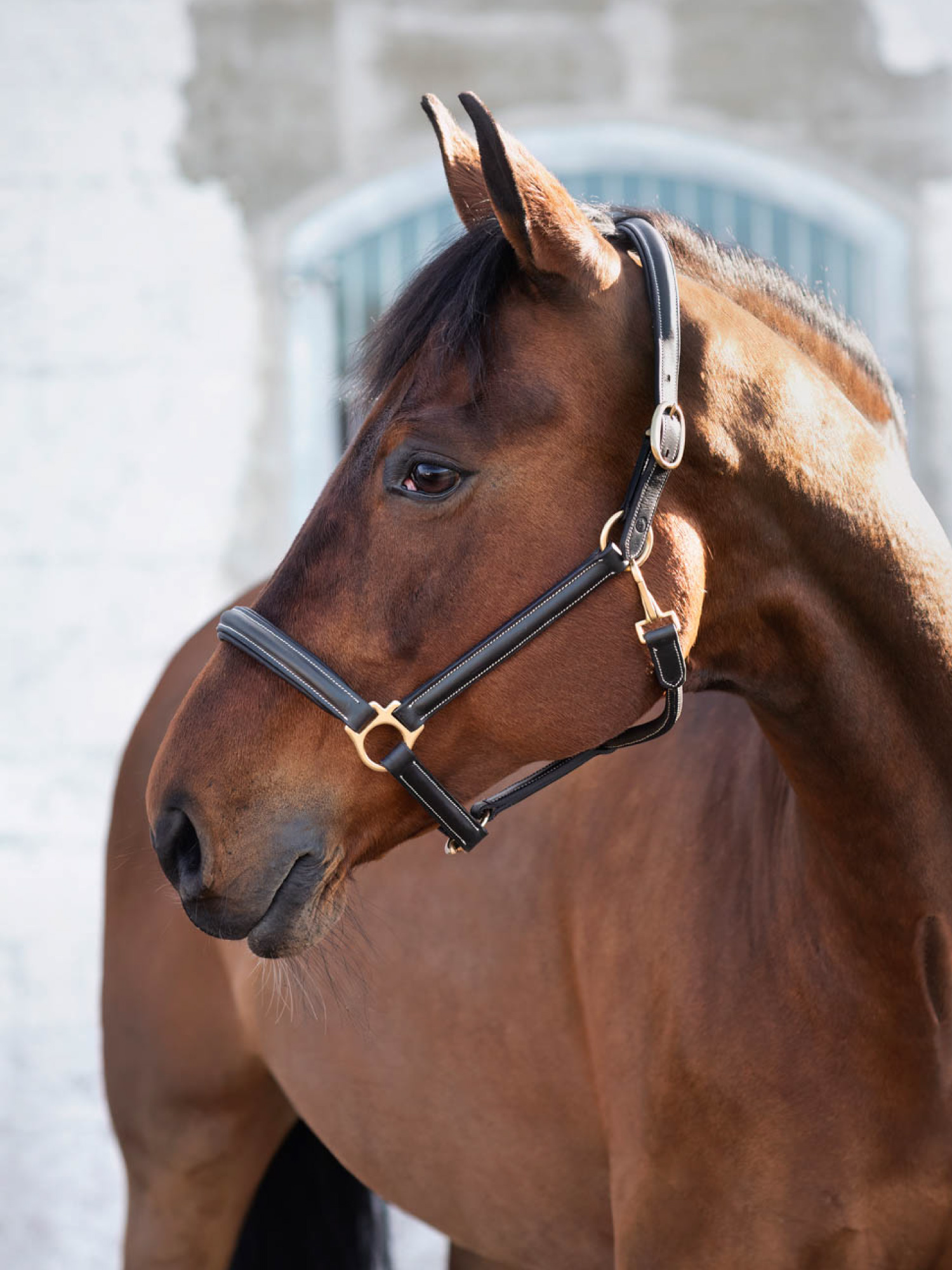 Cancun L&auml;dergrimma Svart